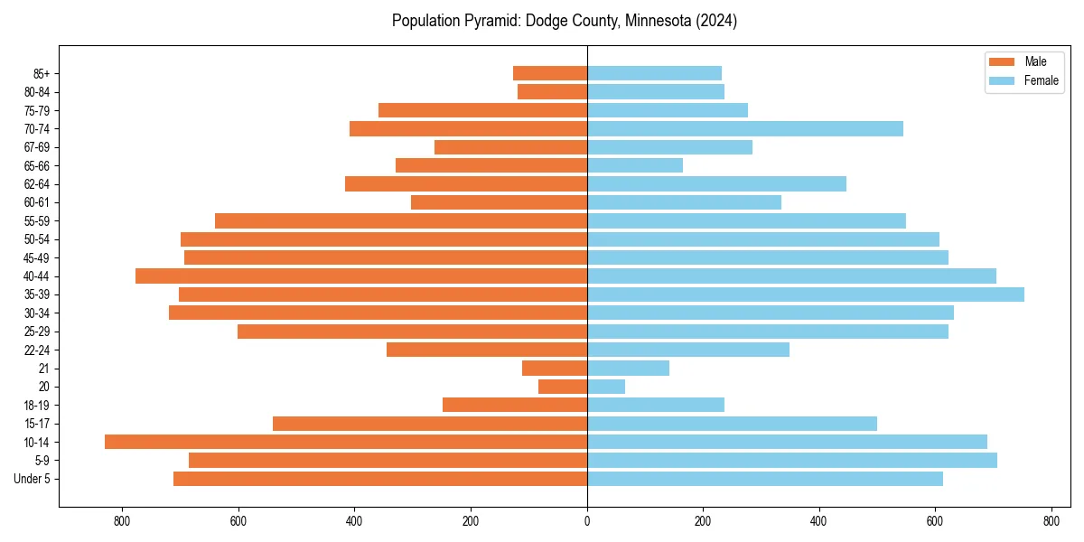 Population pyramid for 