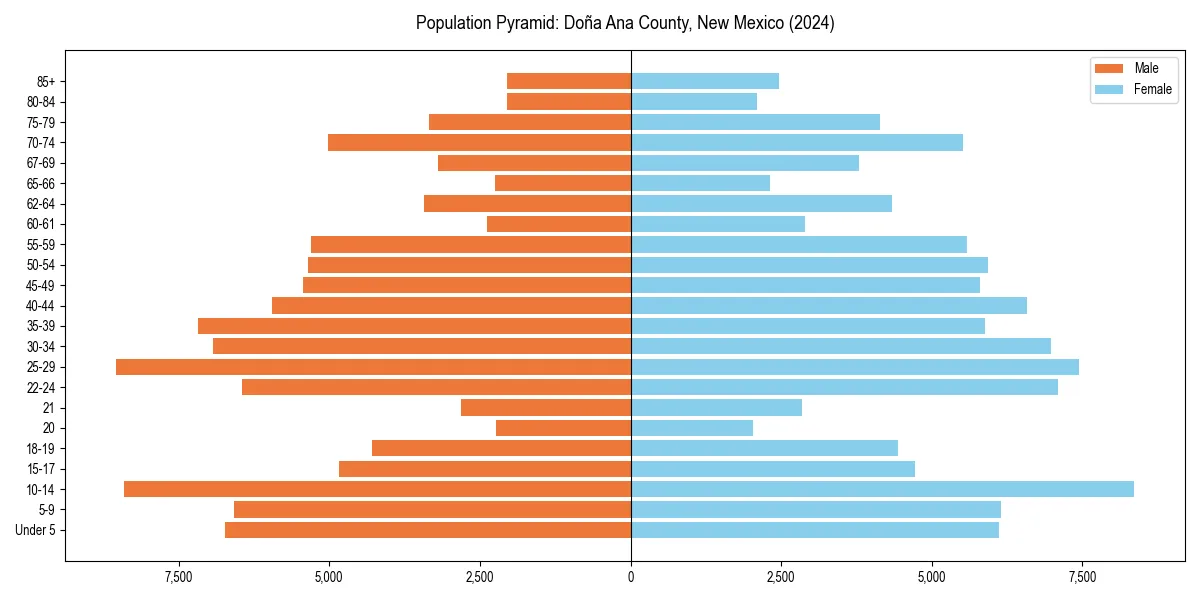 Population pyramid for 