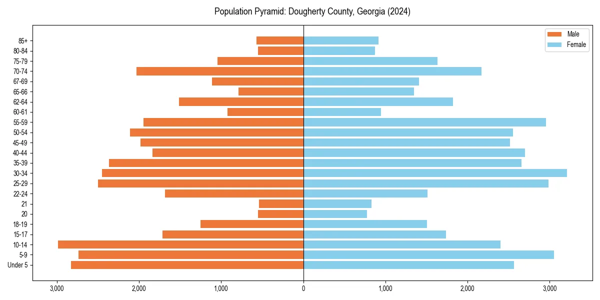 Population pyramid for 
