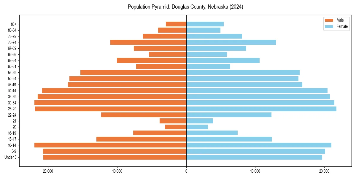 Population pyramid for 