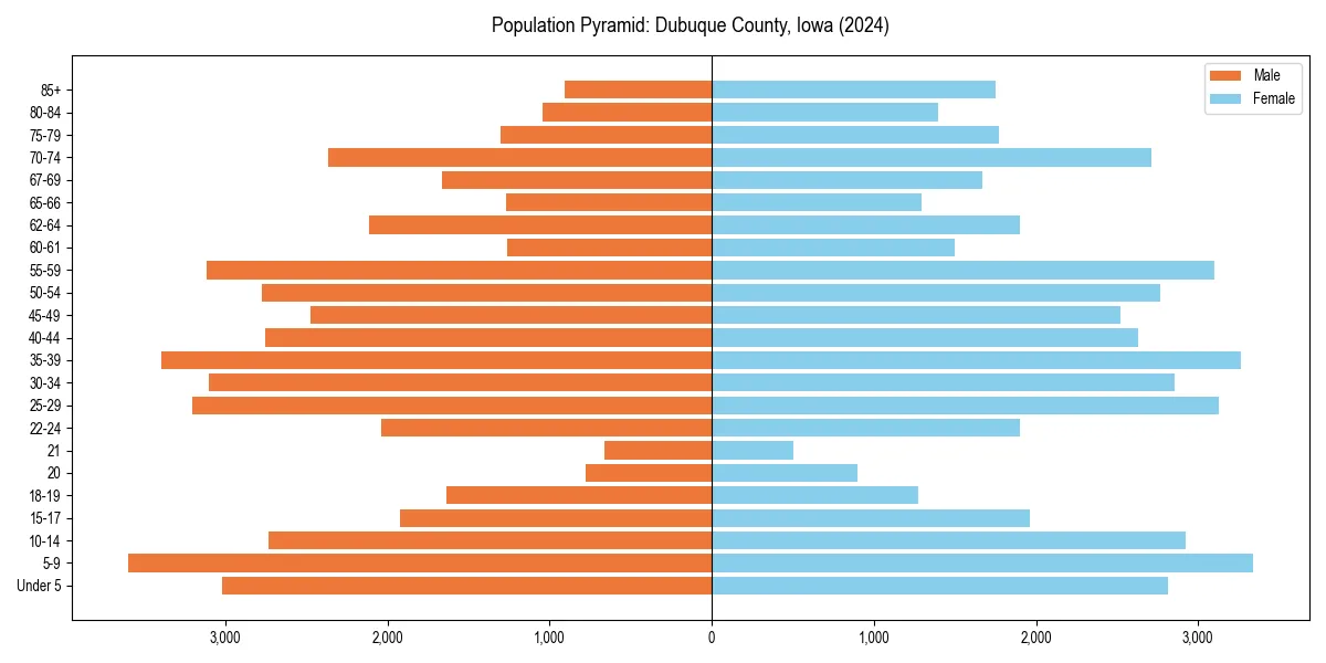 Population pyramid for 