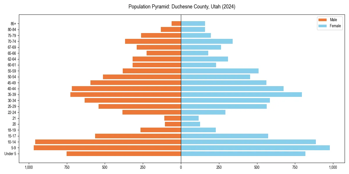 Population pyramid for 