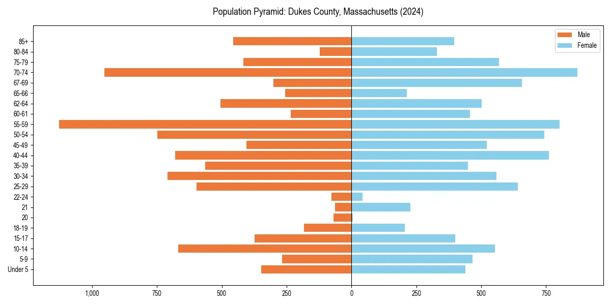 Population pyramid for 