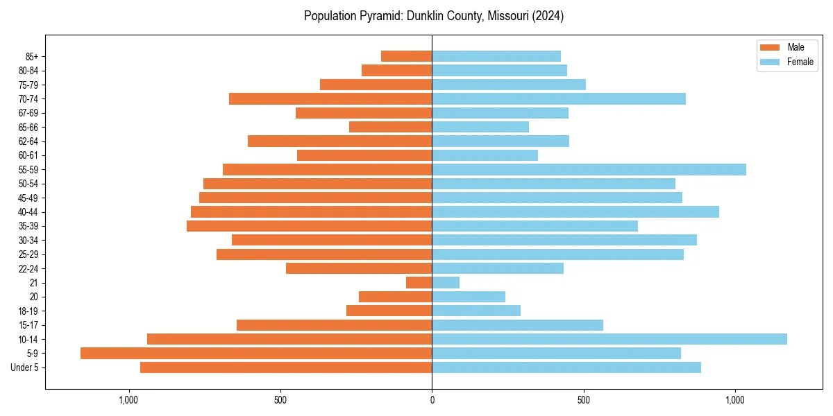 Population pyramid for 