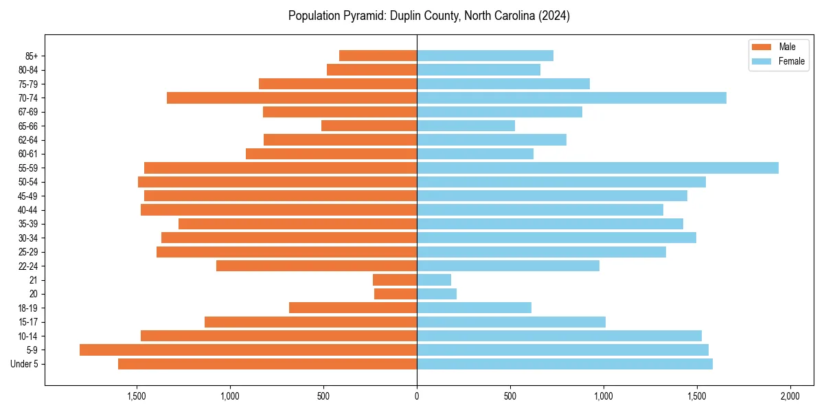 Population pyramid for 