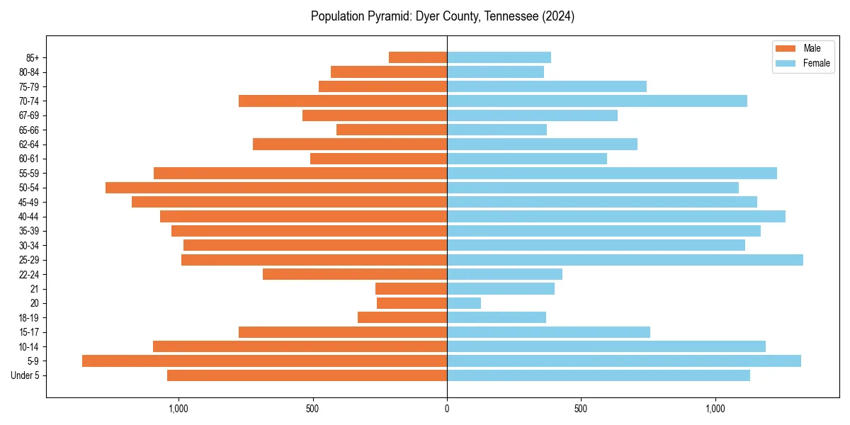 Population pyramid for 