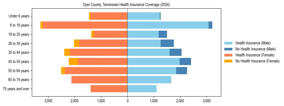Health insurance pyramid for Dyer County, Tennessee