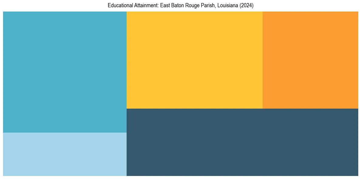 Education Treemap for  in 2024