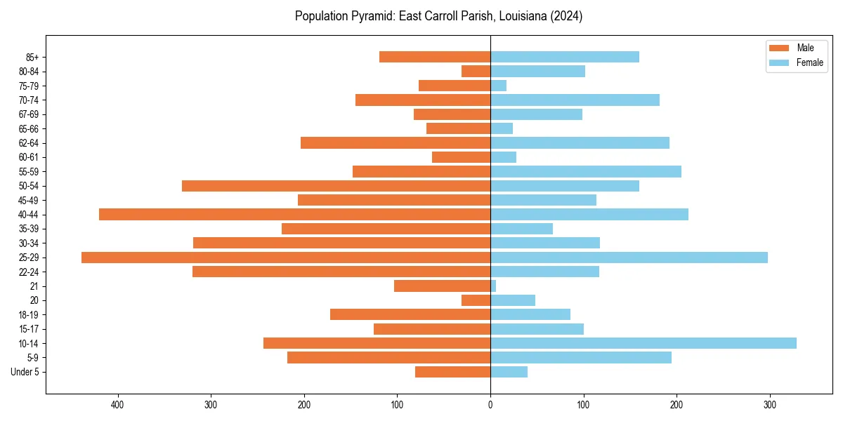 Population pyramid for 