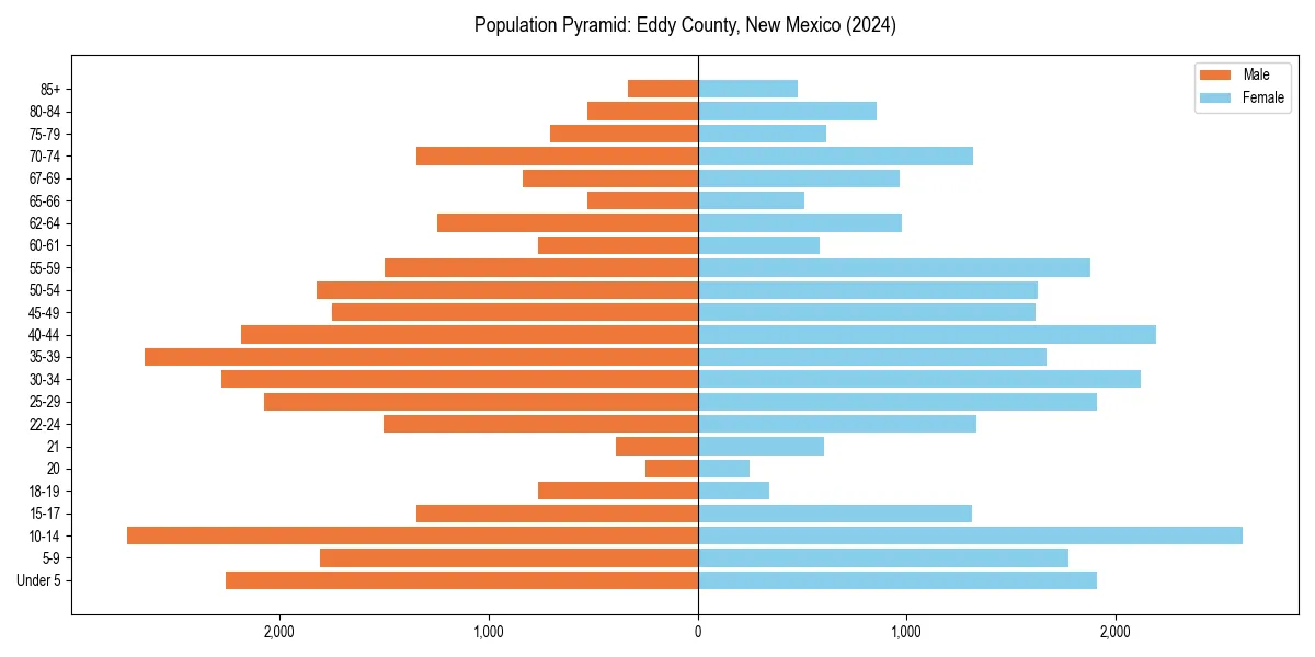 Population pyramid for 