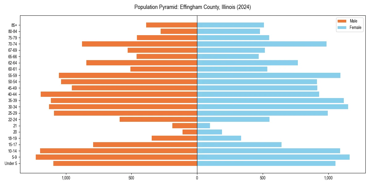 Population pyramid for 