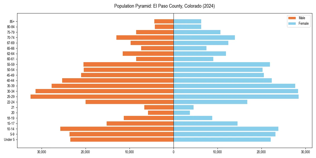 Population pyramid for 