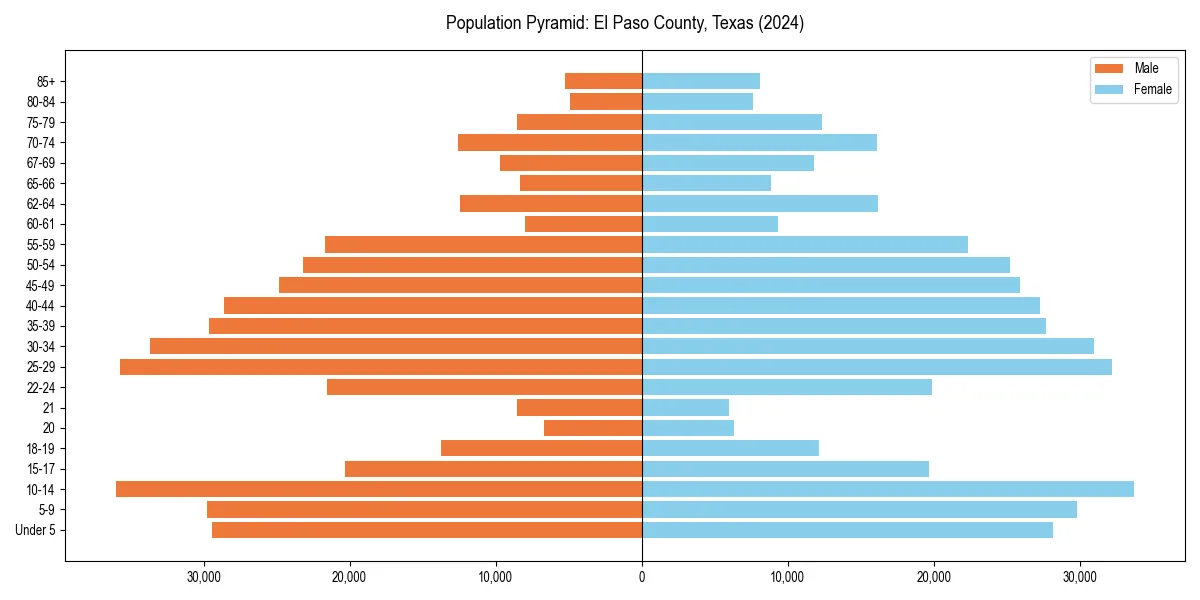 Population pyramid for 