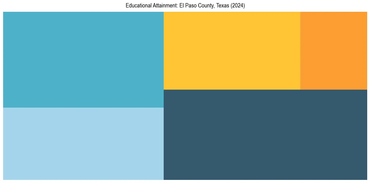 Education Treemap for  in 2024