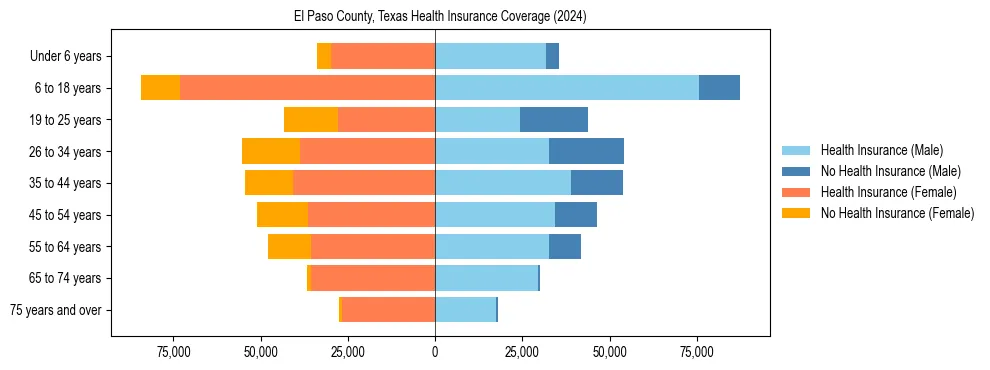 Health insurance pyramid for El Paso County, Texas