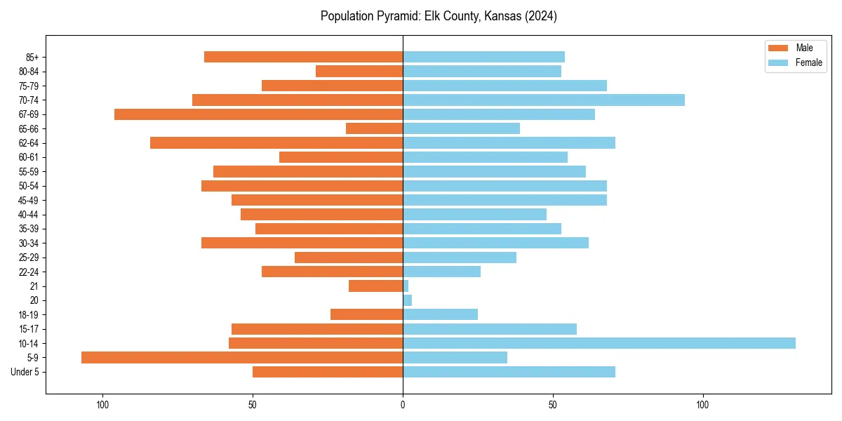 Population pyramid for 