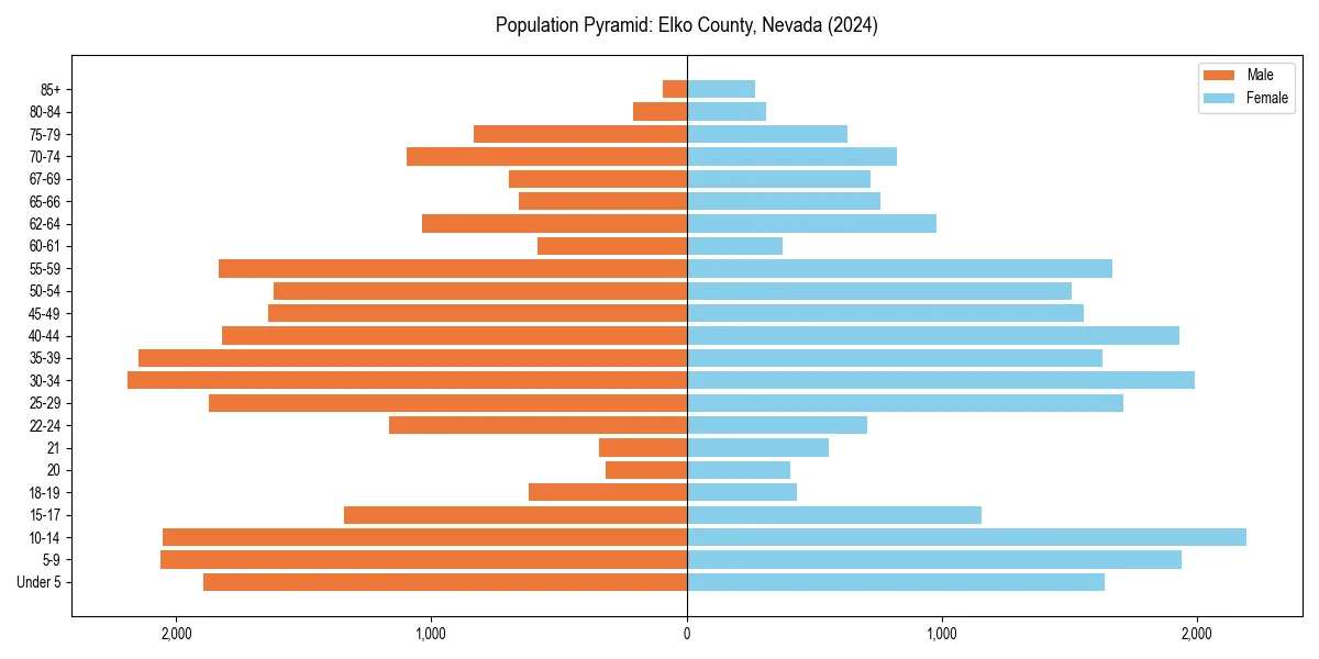 Population pyramid for 