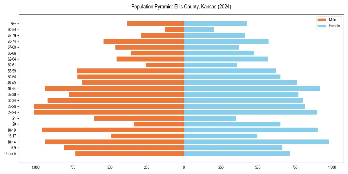 Population pyramid for 