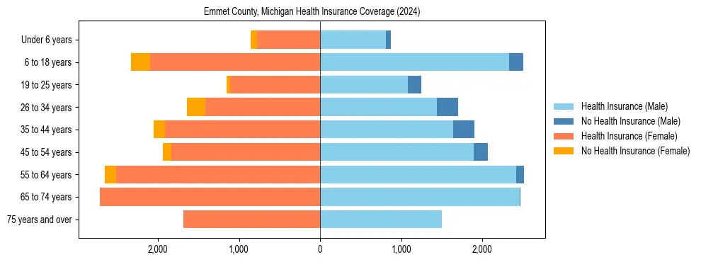 Health insurance pyramid for Emmet County, Michigan
