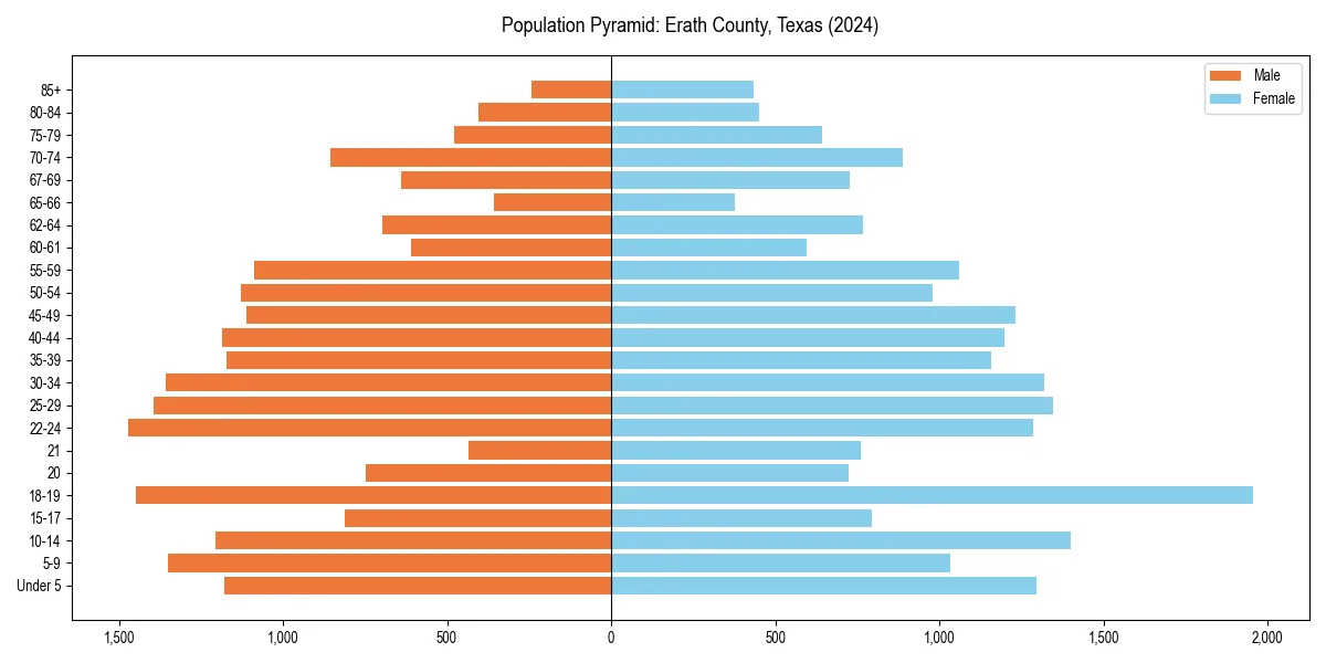 Population pyramid for 