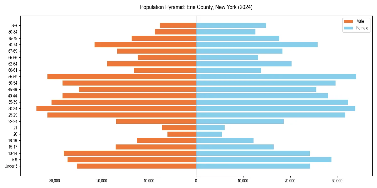 Population pyramid for 