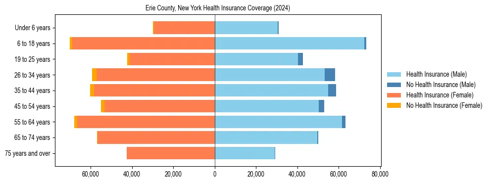 Health insurance pyramid for Erie County, New York