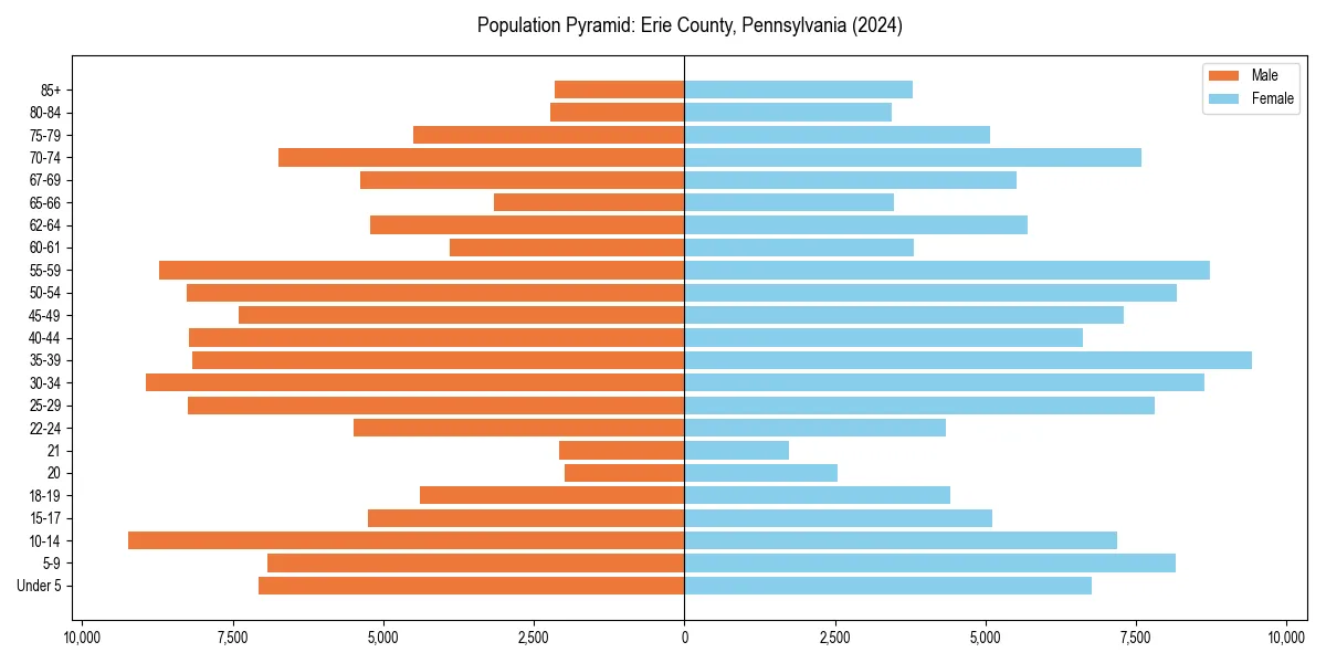 Population pyramid for 