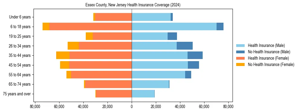 Health insurance pyramid for Essex County, New Jersey