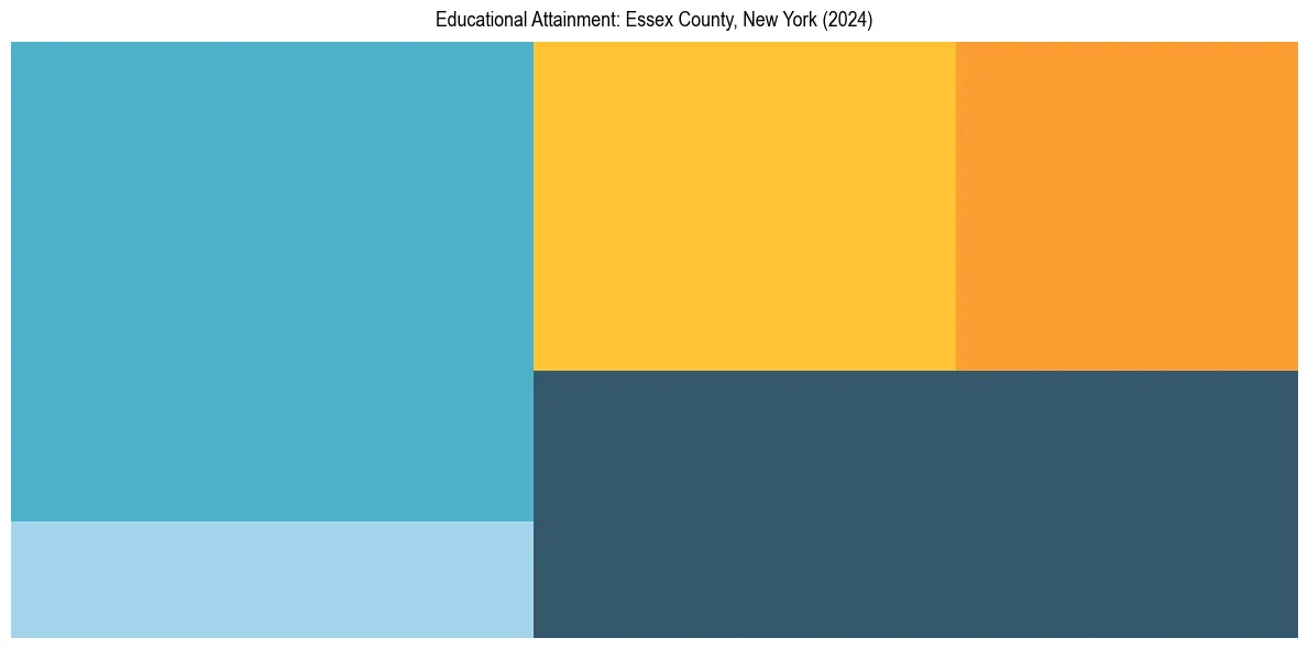 Education Treemap for  in 2024