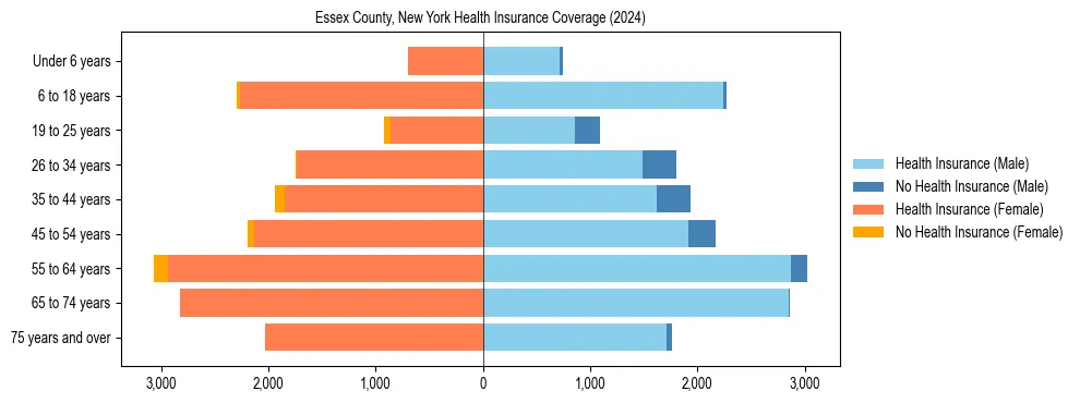 Health insurance pyramid for Essex County, New York