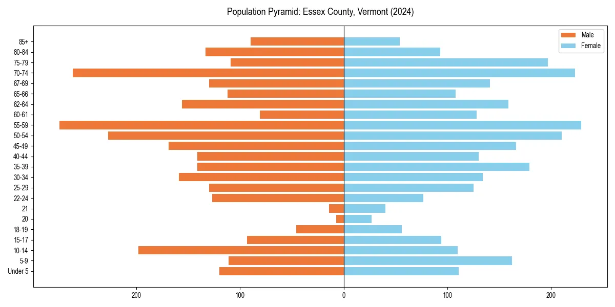 Population pyramid for 
