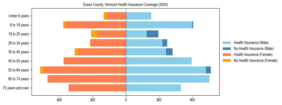 Health insurance pyramid for Essex County, Vermont