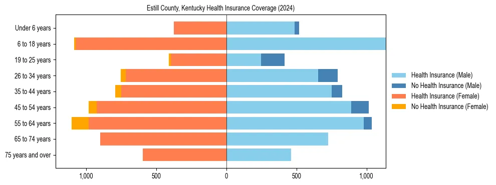 Health insurance pyramid for Estill County, Kentucky