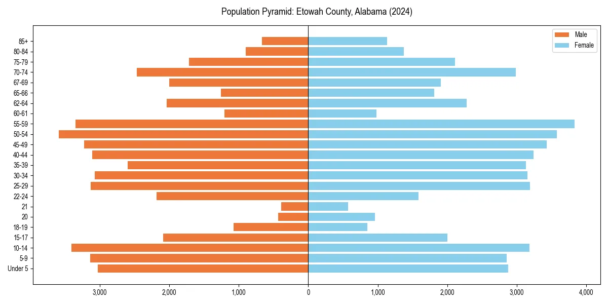 Population pyramid for 