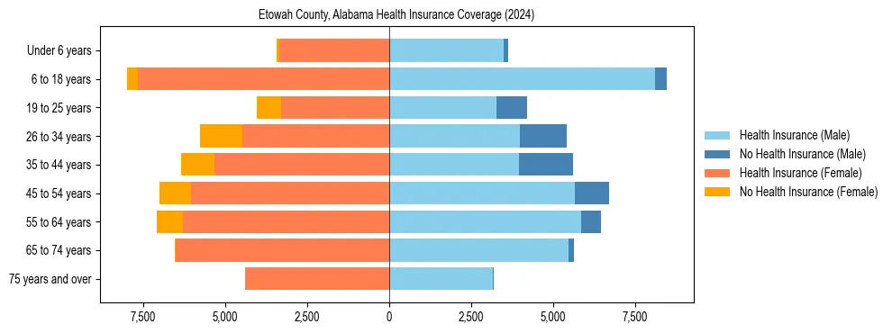 Health insurance pyramid for Etowah County, Alabama