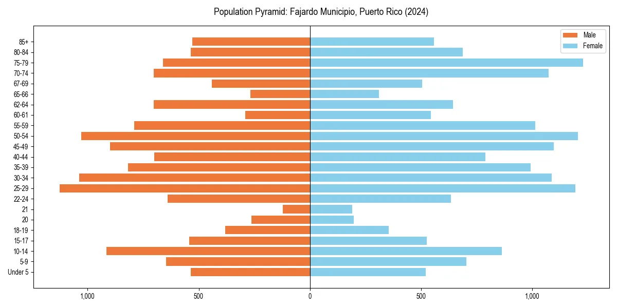 Population pyramid for 