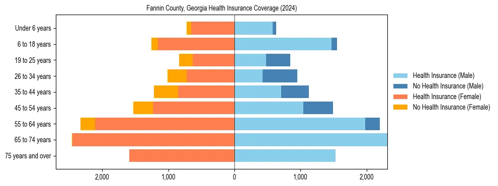 Health insurance pyramid for Fannin County, Georgia