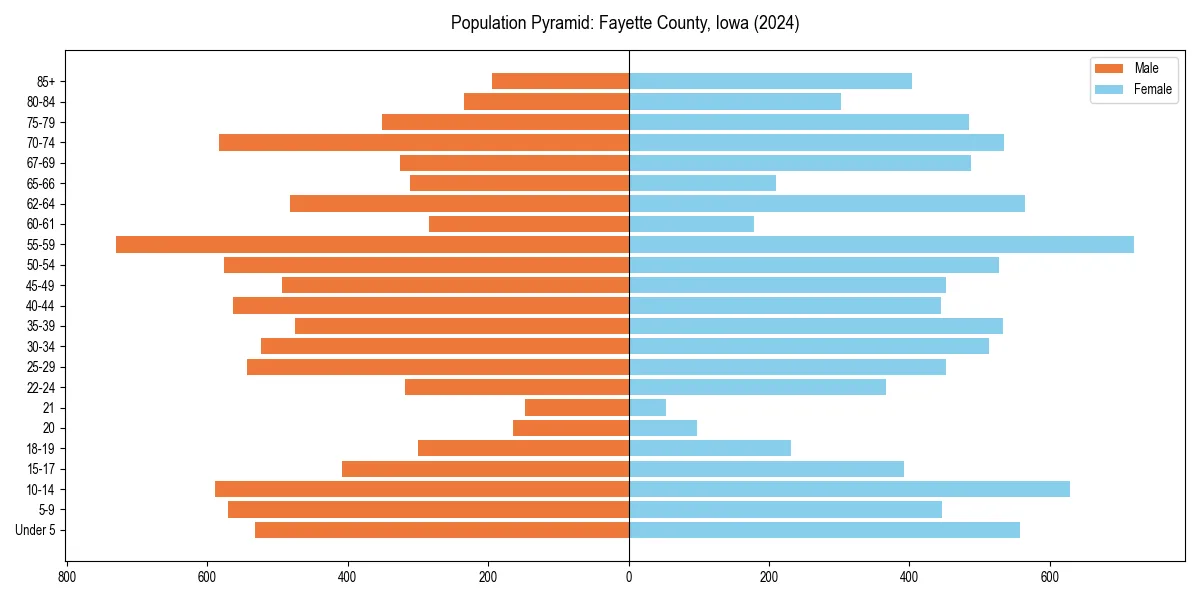 Population pyramid for 