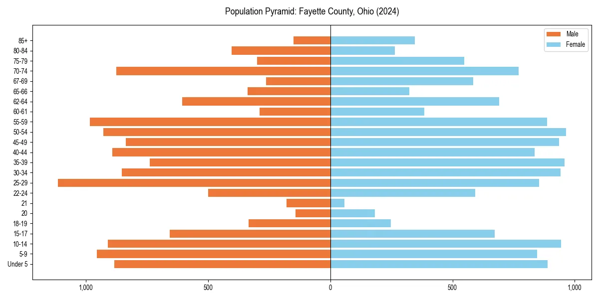 Population pyramid for 