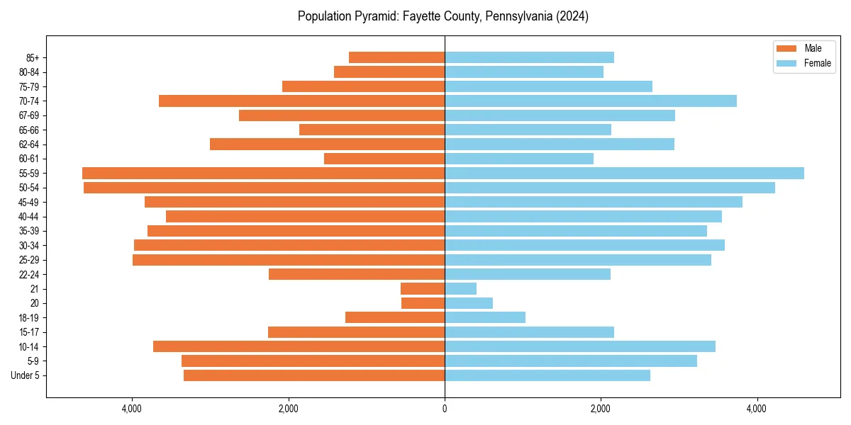 Population pyramid for 