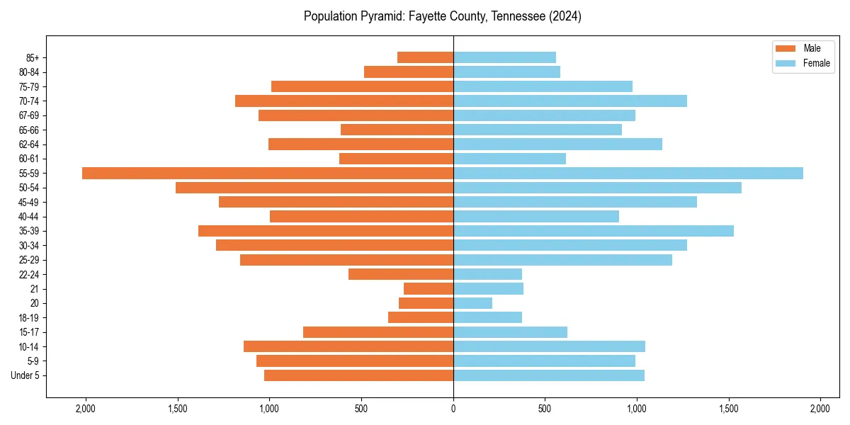Population pyramid for 