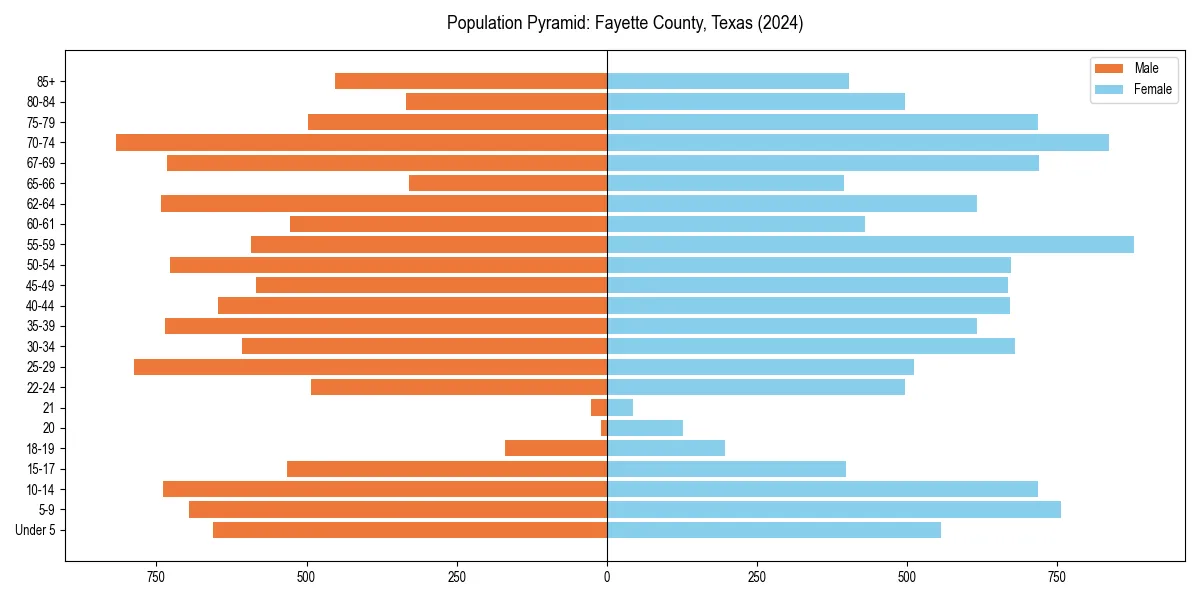 Population pyramid for 