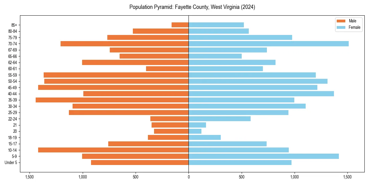 Population pyramid for 