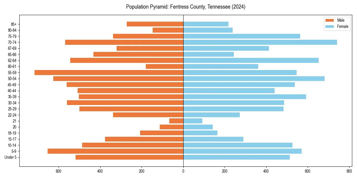 Population pyramid for 