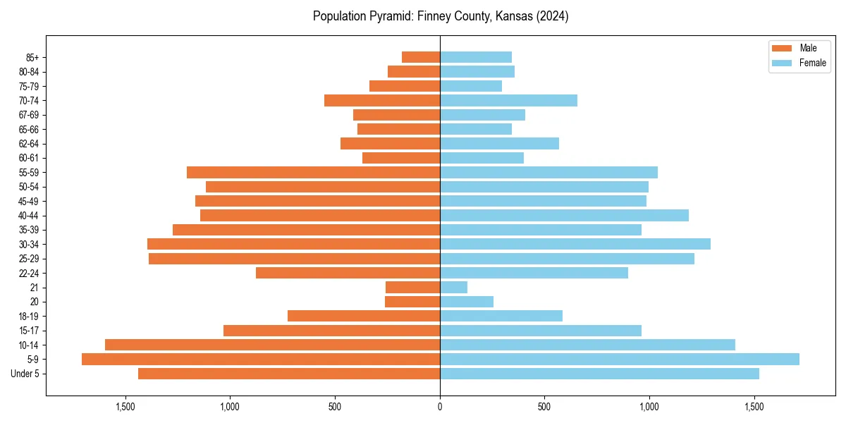 Population pyramid for 