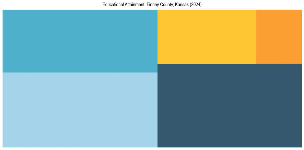 Education Treemap for  in 2024