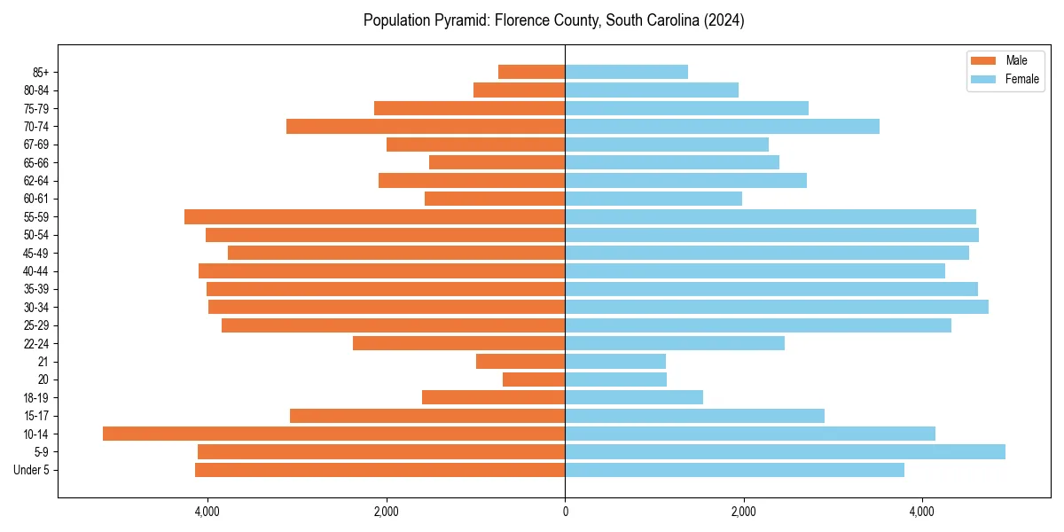 Population pyramid for 