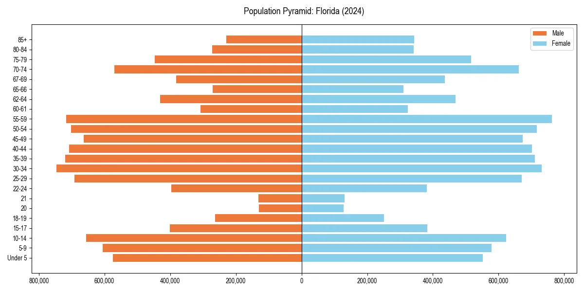 Population pyramid for