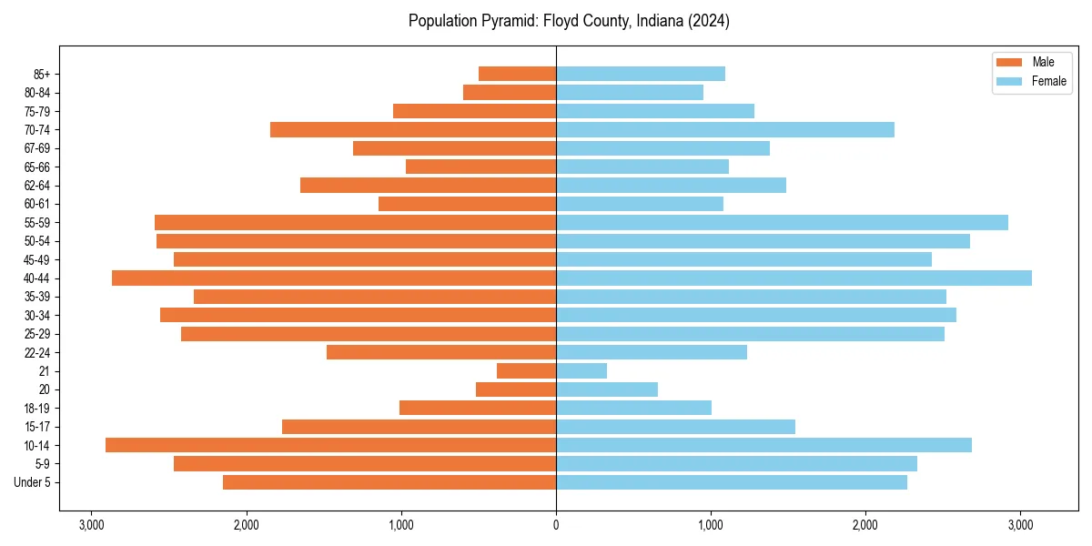 Population pyramid for 