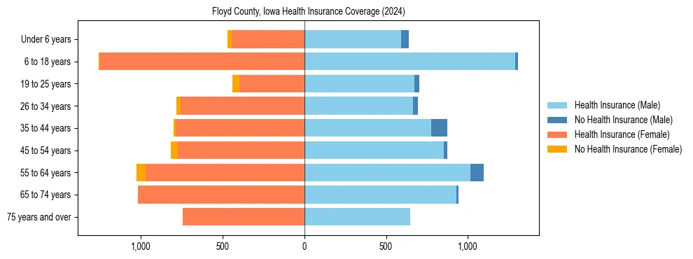 Health insurance pyramid for Floyd County, Iowa